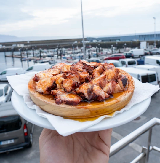 Plato de pulpo á feira sostenido en la mano frente al puerto de Fisterra